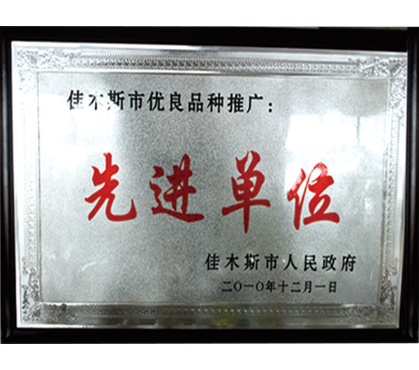 資質證書